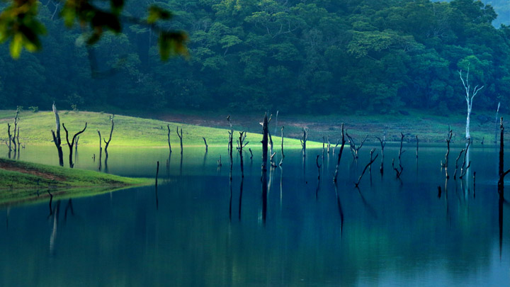 Alapuzha